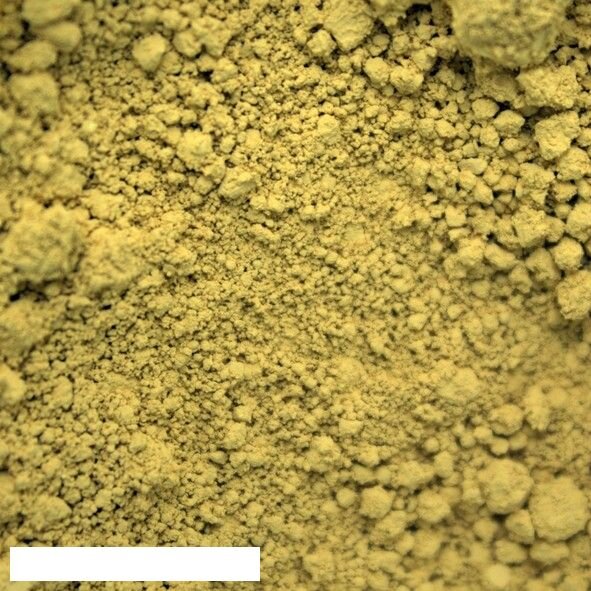Kreidezeit Pigment Sonnengelb - 25 g Becher
